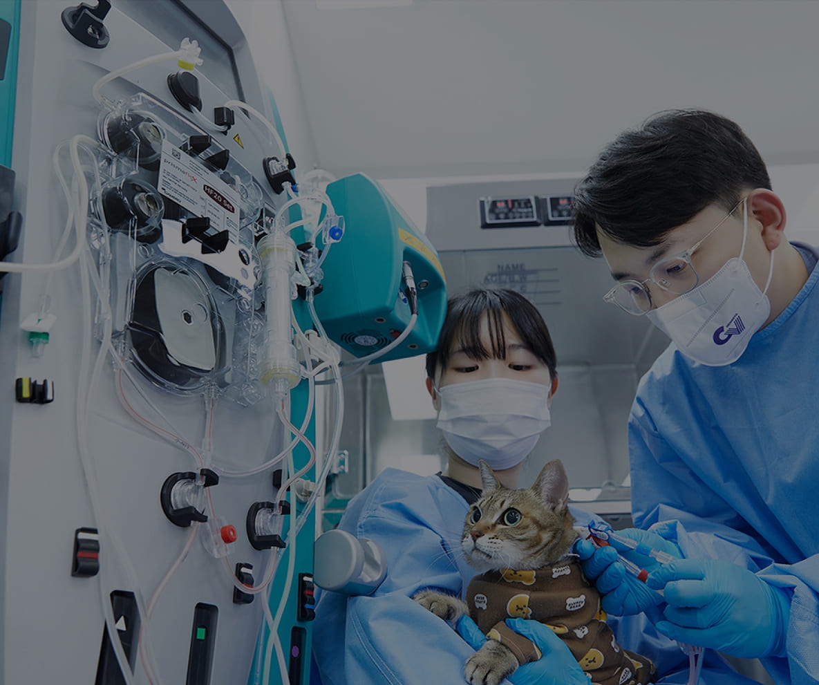 Tính độc đáo duy nhất