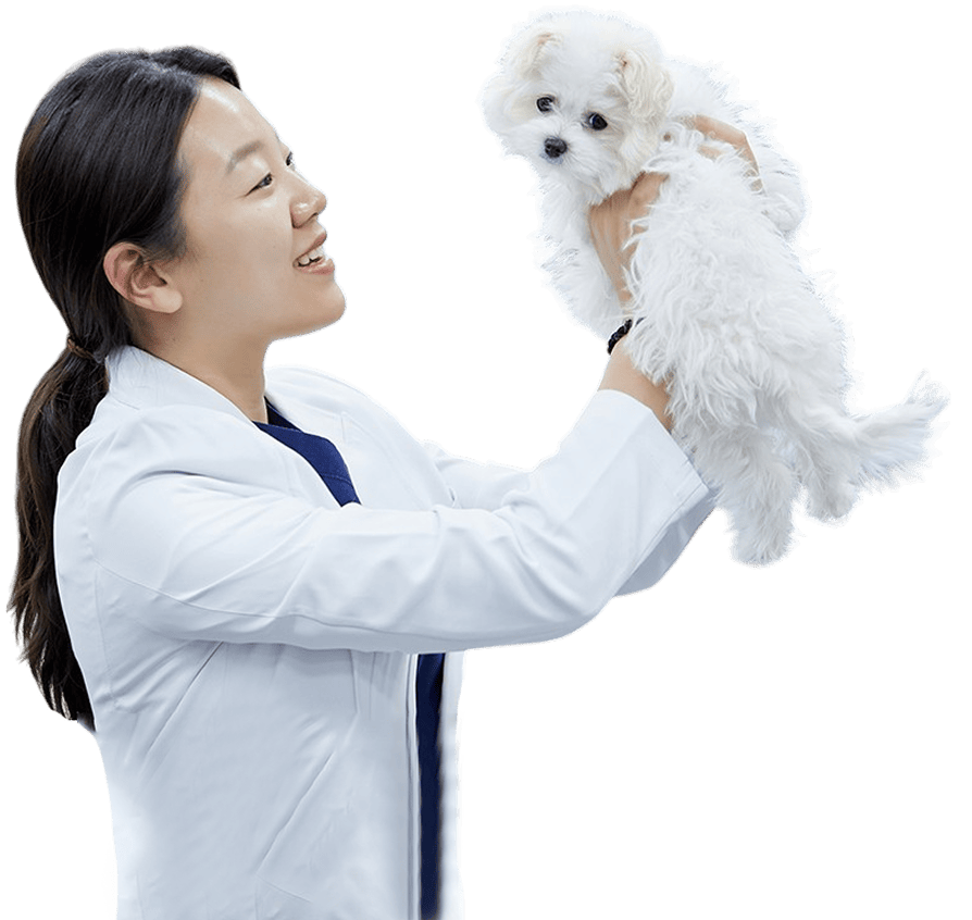 Số ca điều trị