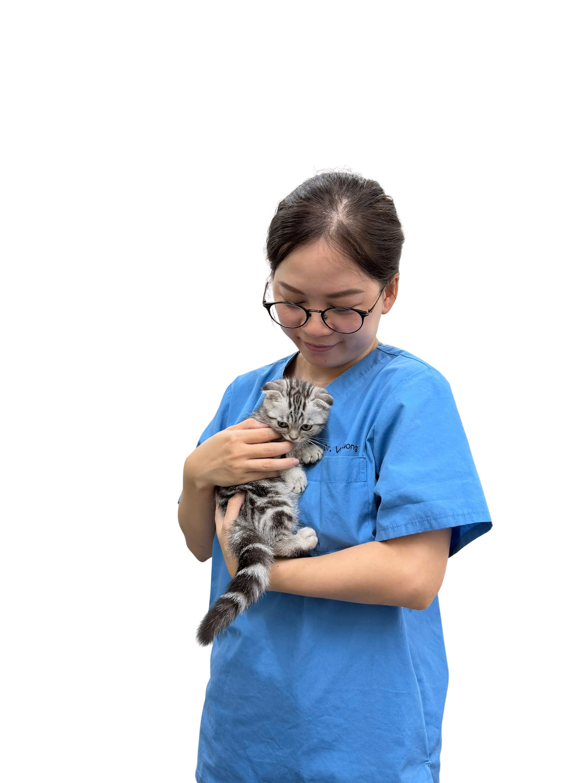 Số ca điều trị
