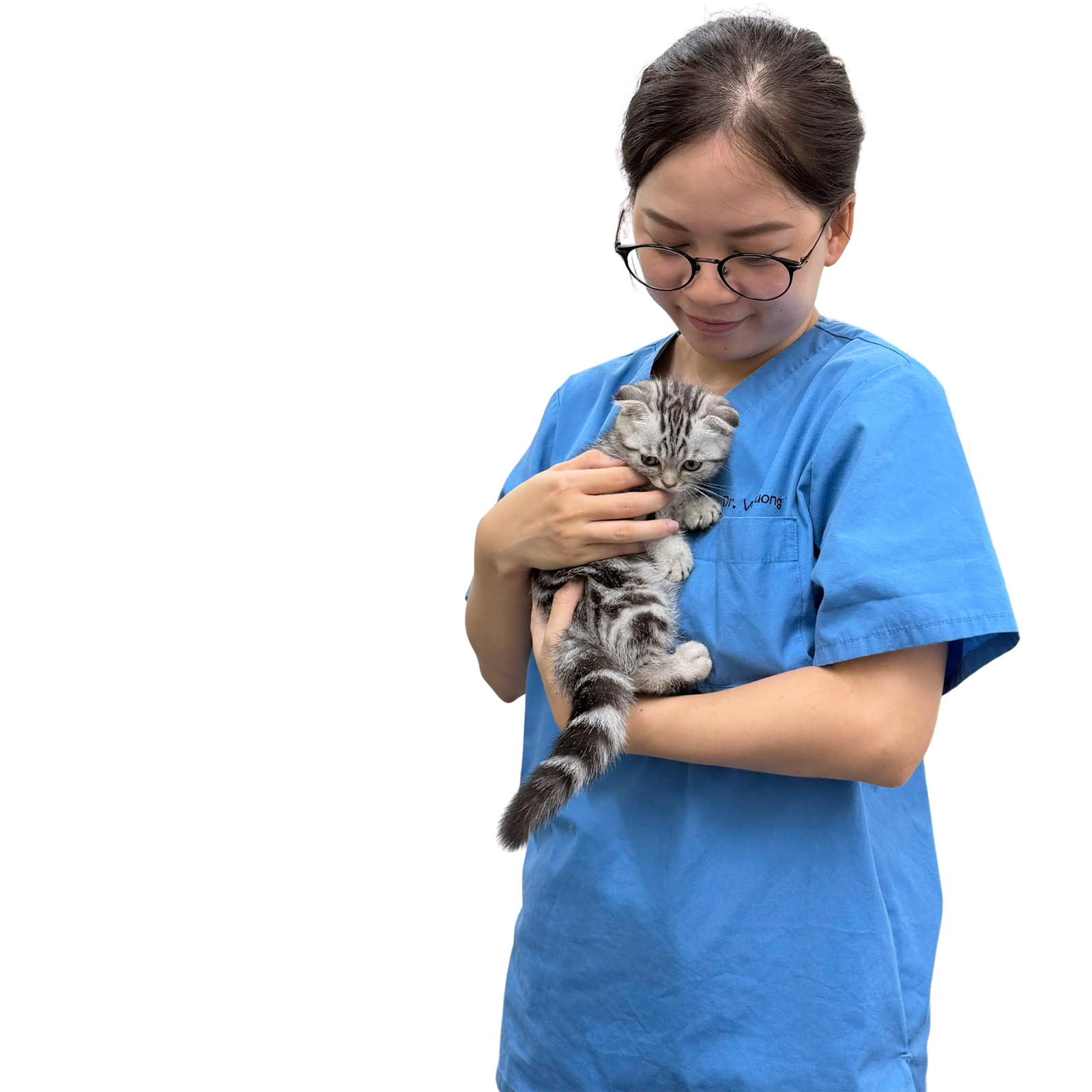 Số ca điều trị