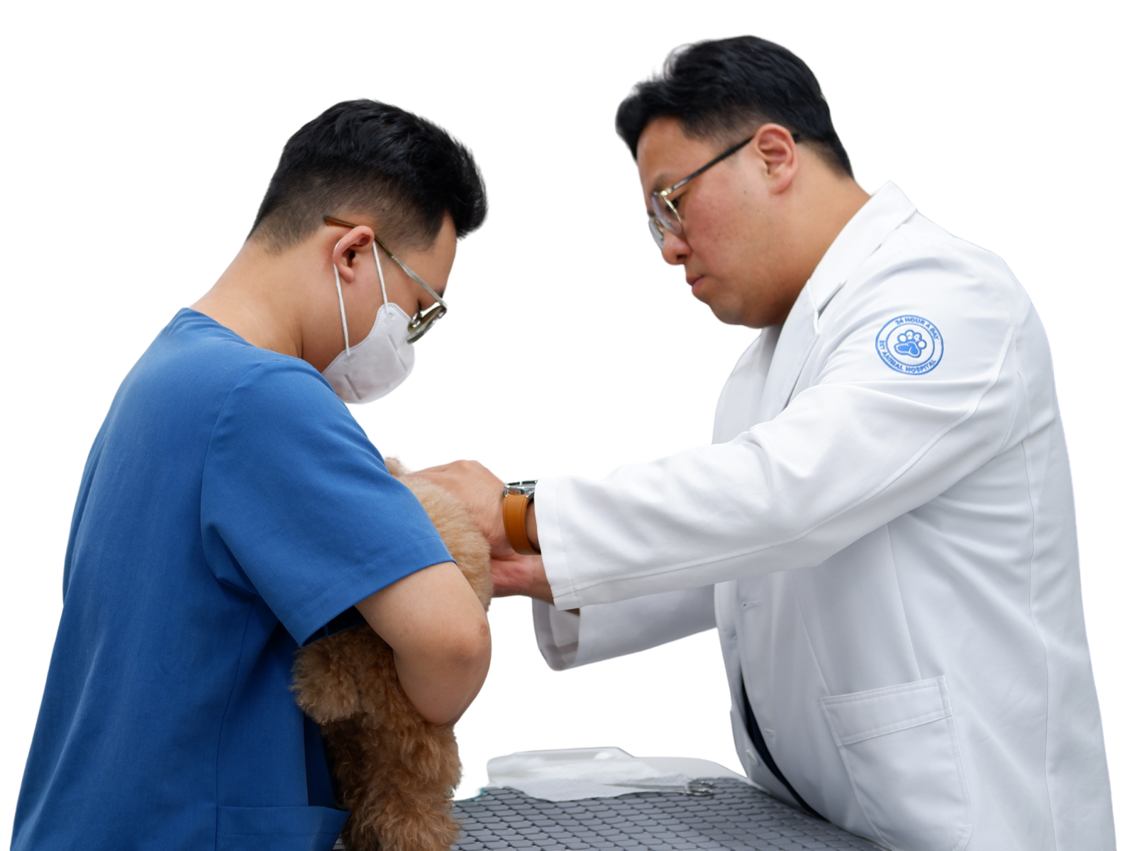 Số lần điều trị