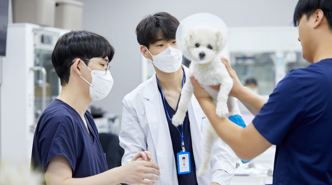 Chúng tôi chịu <b>trách nhiệm </b>