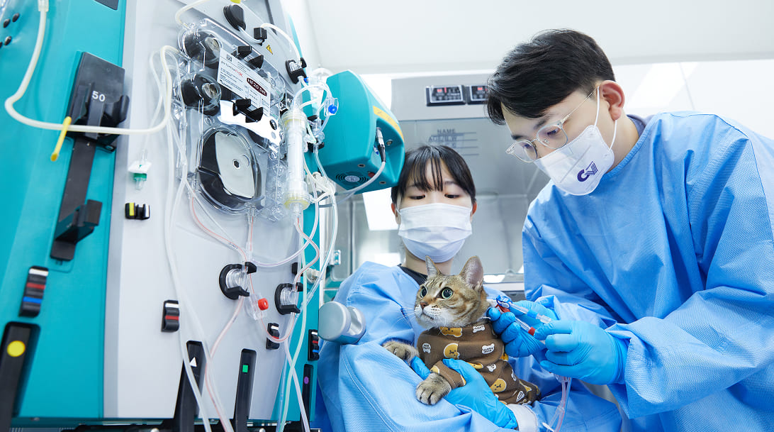 Chúng tôi là <b>những người chuyên nghiệp</b>