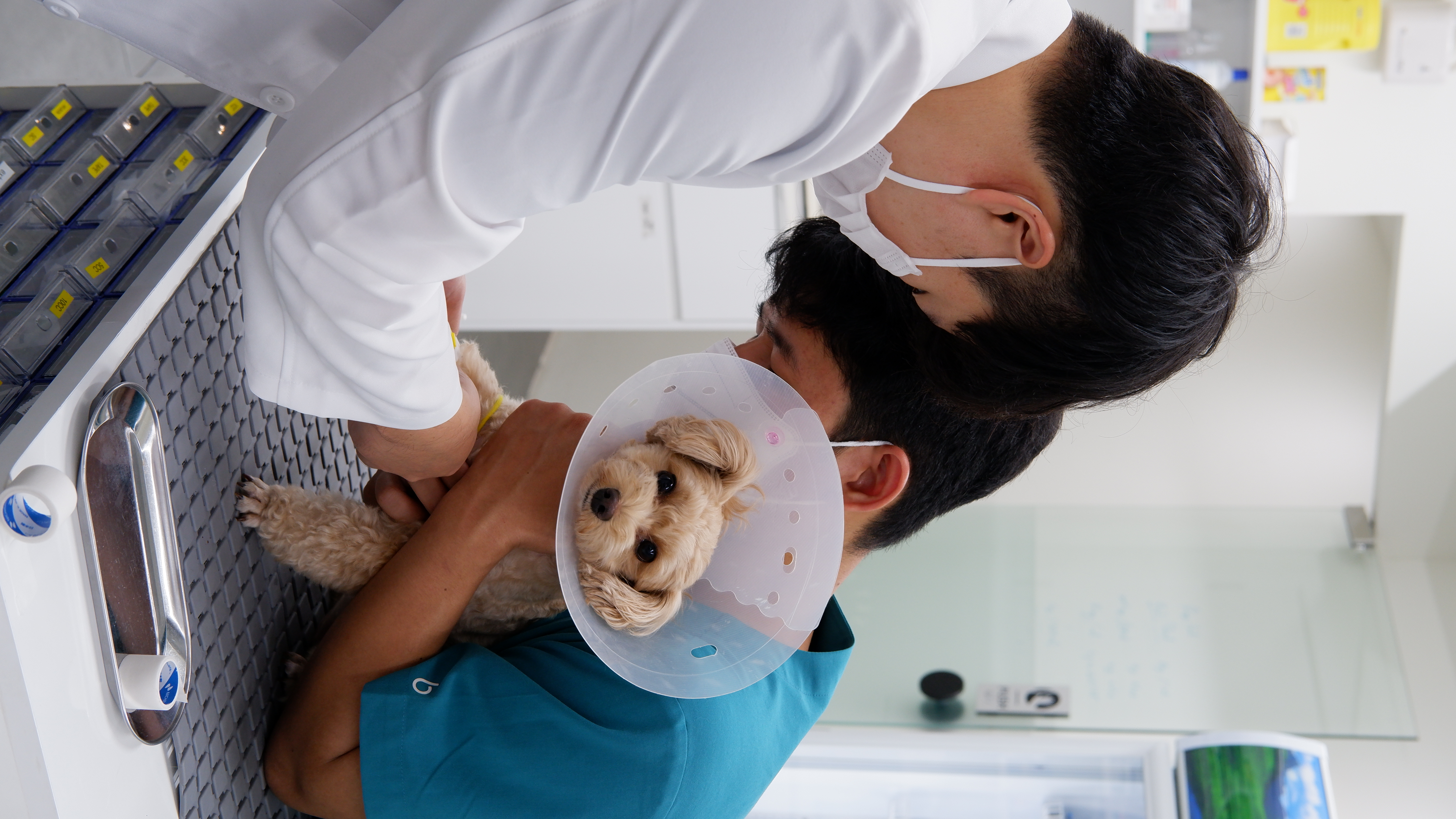 Chương trình phục hồi chức năng chuyên sâu, hiệu quả và được thiết kế tối ưu theo từng tình trạng bệnh của bệnh nhân.