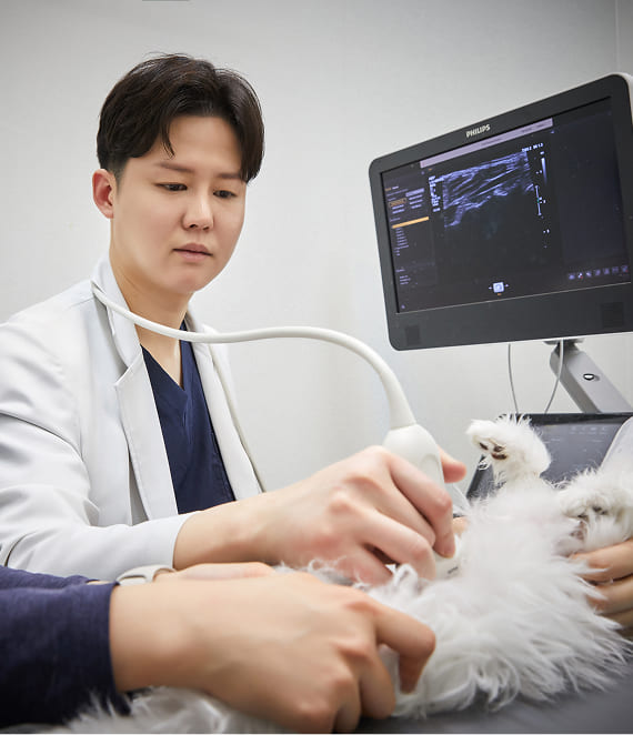 Chuyên về điều trị bệnh nhân nguy kịch và các ca phẫu thuật khó khăn.