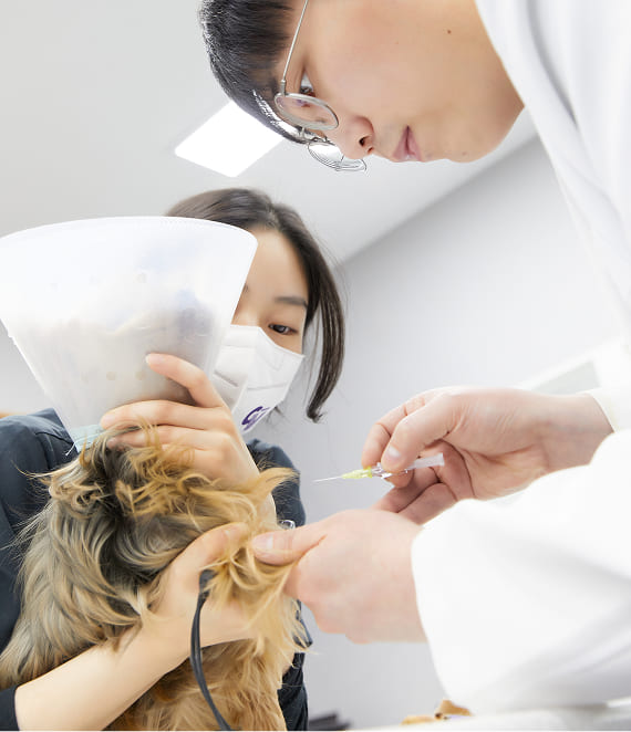 Chuyên về điều trị bệnh nhân nguy kịch và các ca phẫu thuật khó khăn.