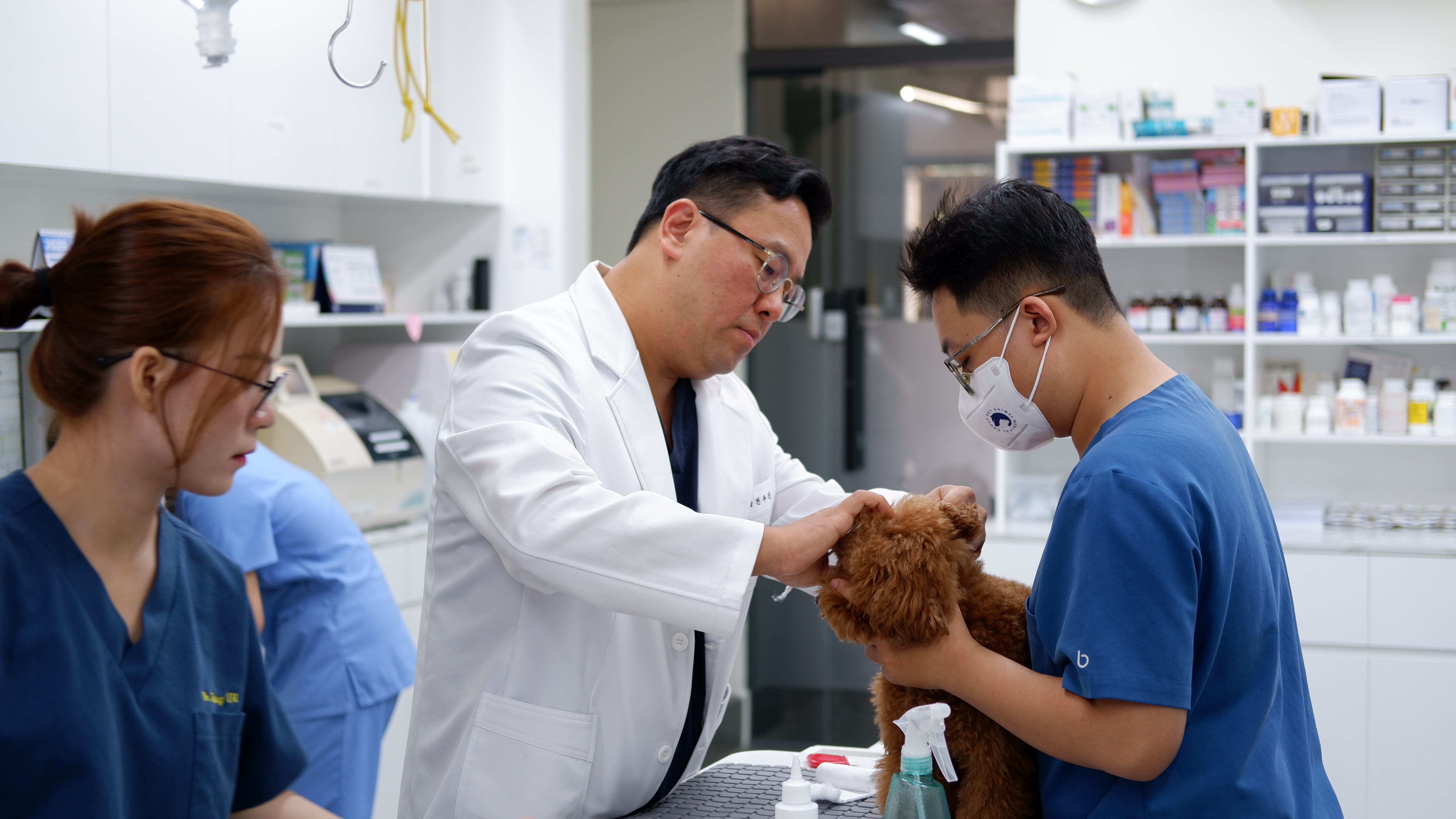 Khám sức khỏe định kỳ và chăm sóc phòng ngừa