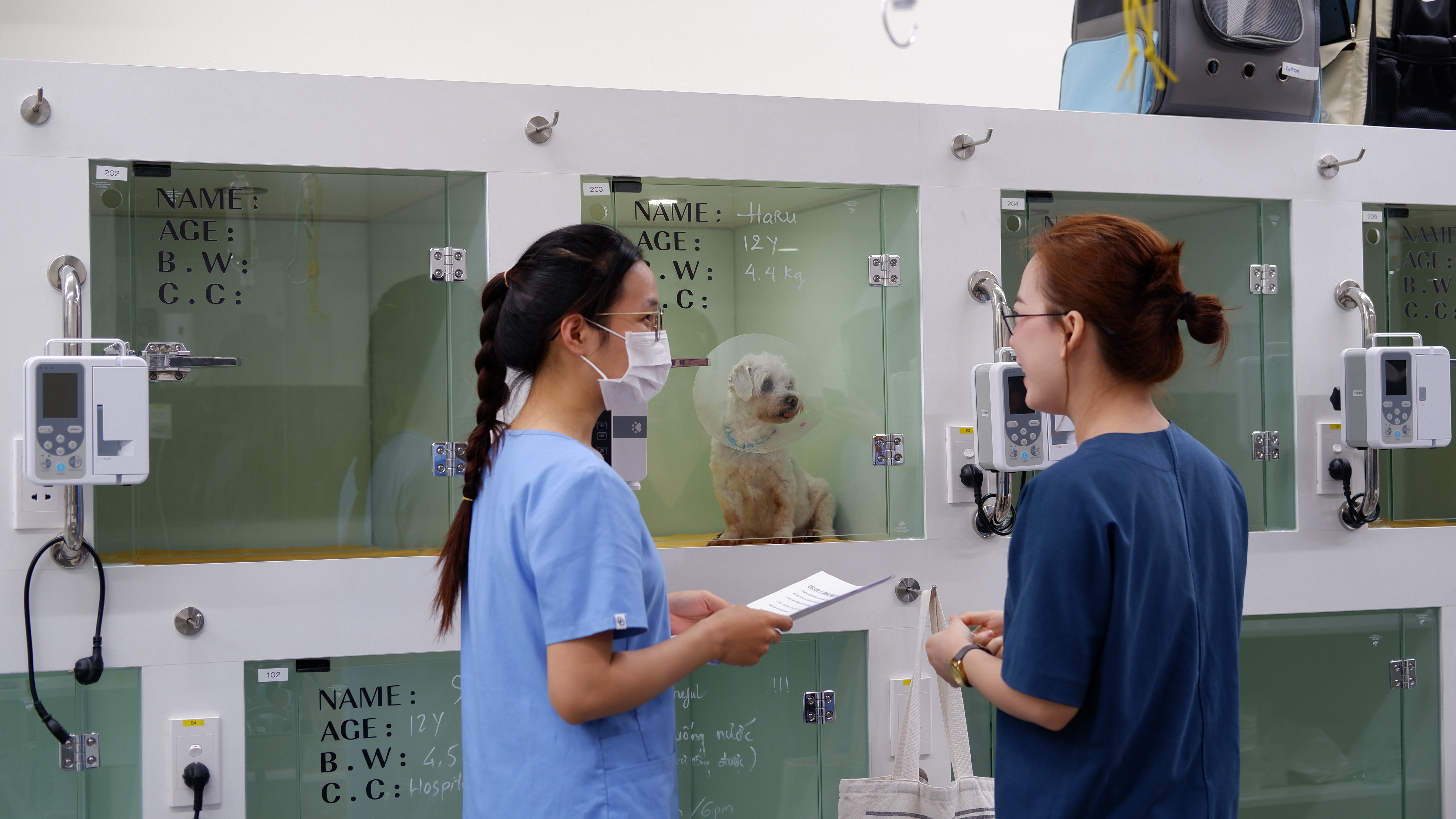 Phục hồi và chăm sóc liên tục