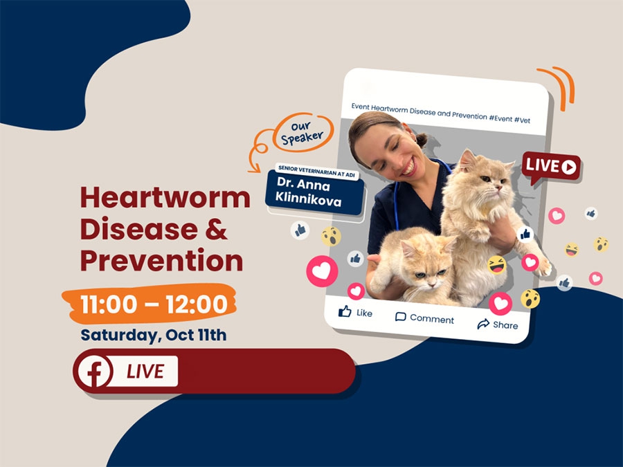 Bệnh Giun Tim và Cách Phòng Ngừa