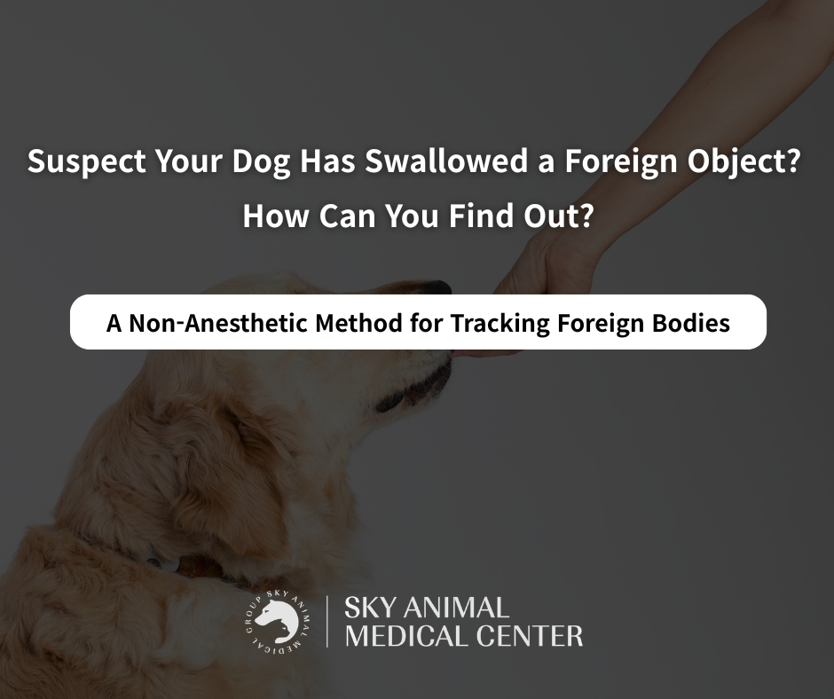 Not Sure About Foreign Body Ingestion? Consider a Contrast Study Before Endoscopy.