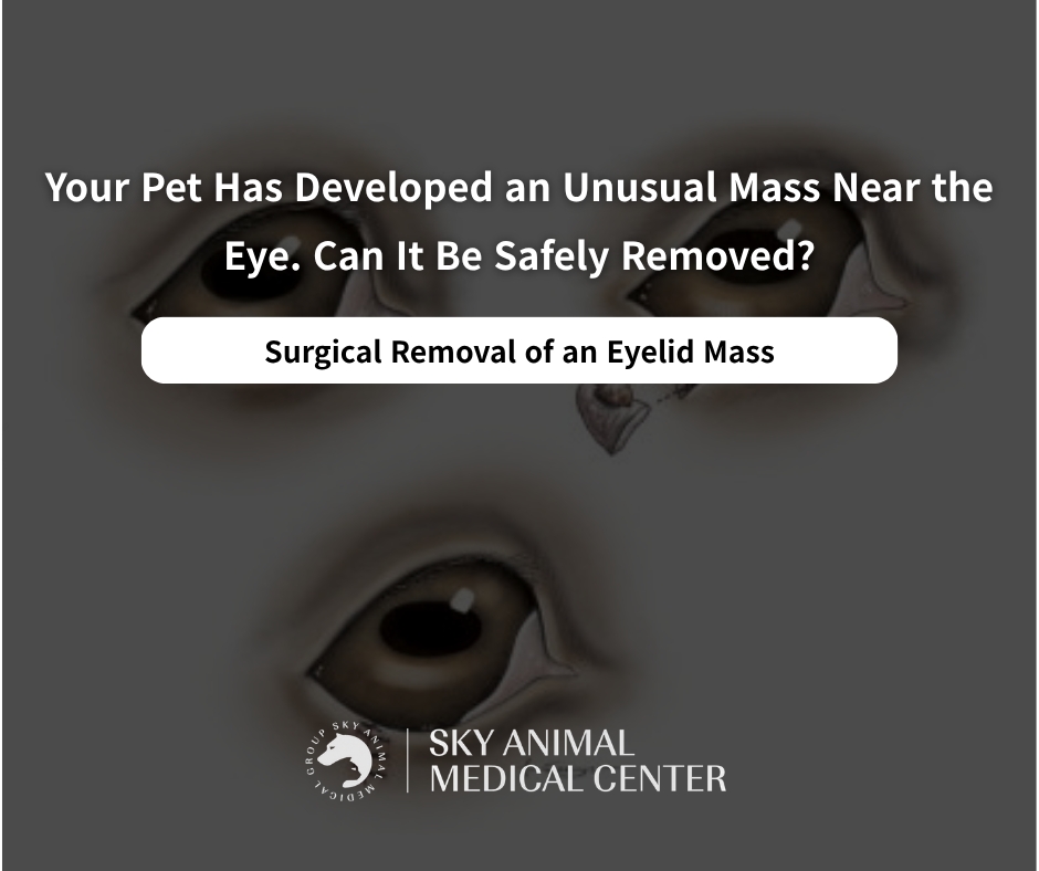 A Mass Near the Eye—Can It Be Safely Removed Without Damaging the Eyeball?