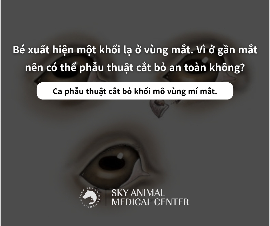 Khối ở gần mắt – có thể cắt bỏ an toàn mà không làm tổn thương nhãn cầu không?
