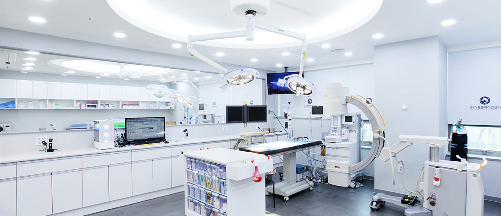 Chăm Sóc Lông – Grooming