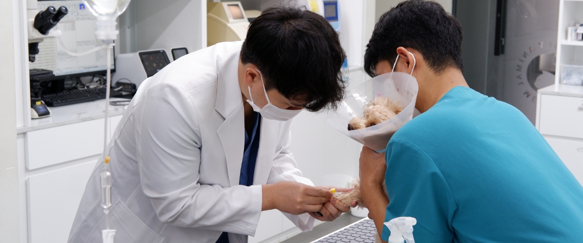 Dịch vụ cấp cứu