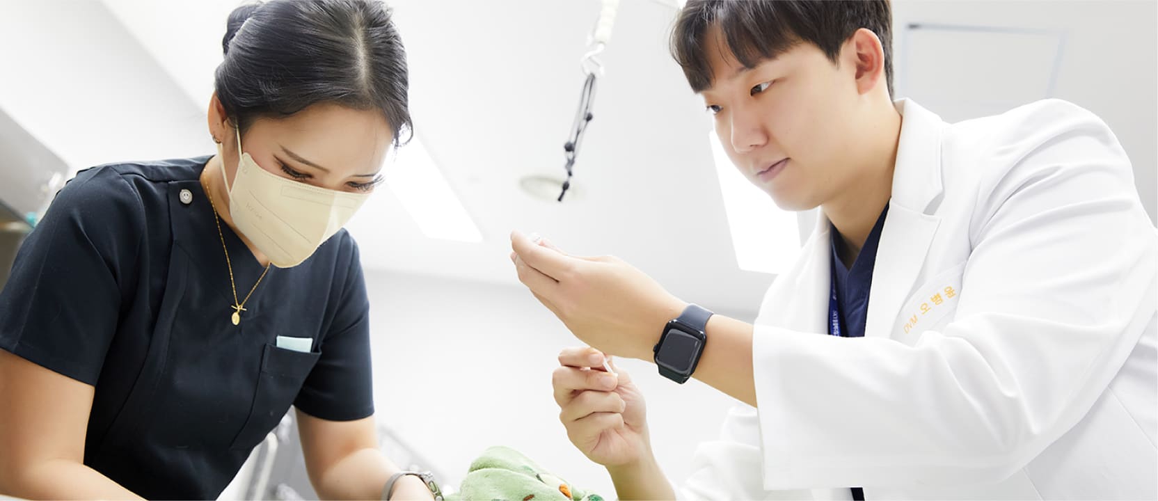 Khách Sạn Cho Mèo